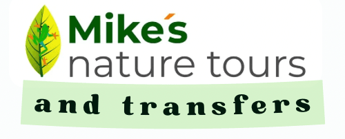 Mike's Nature Tours